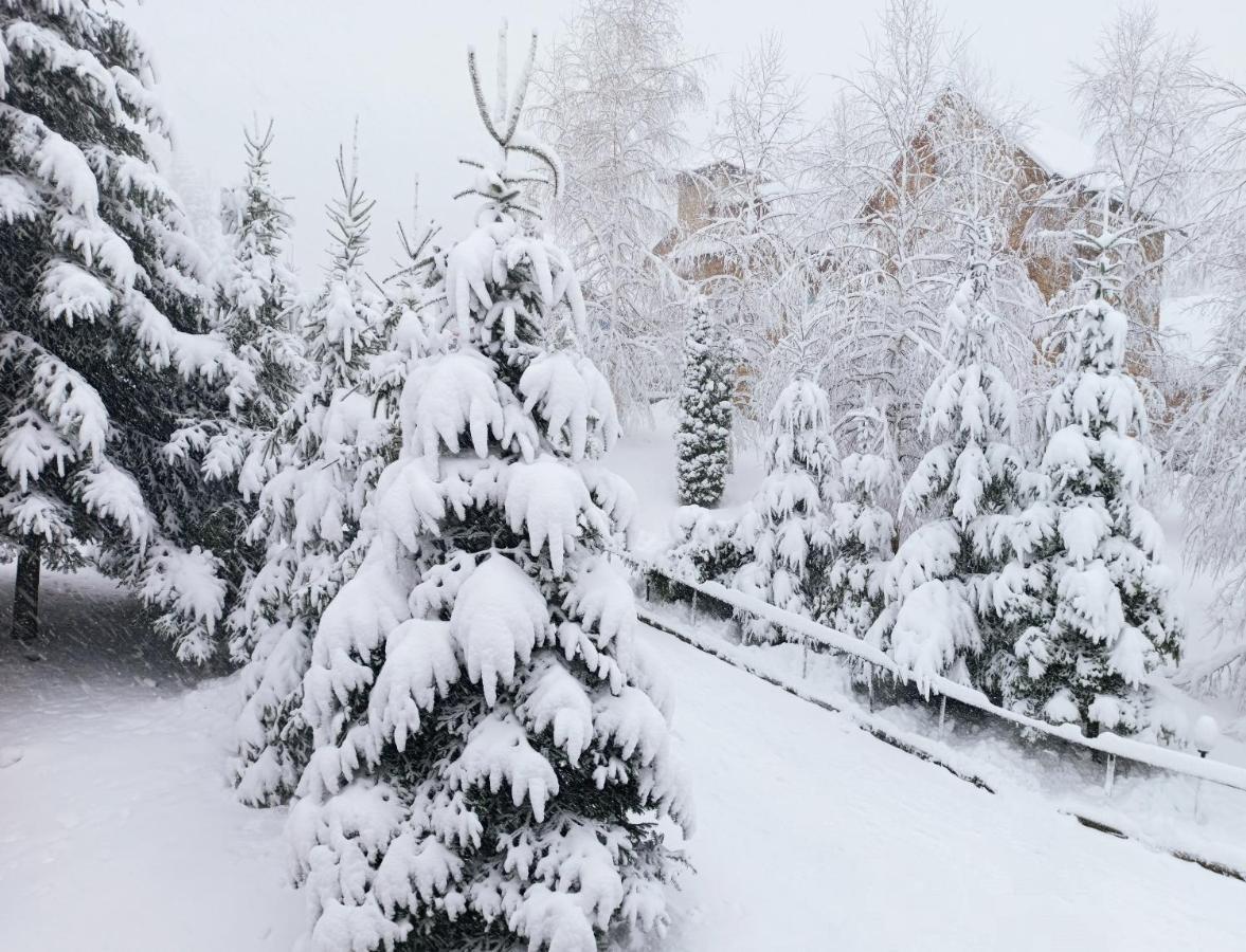 Satori Hotel Migovo Bagian luar foto
